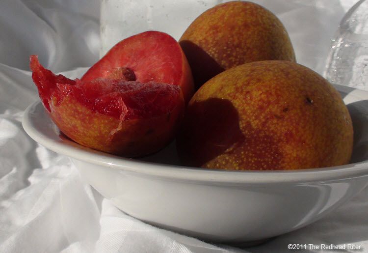 It Is So Sexy Ripe Plums Are Falling